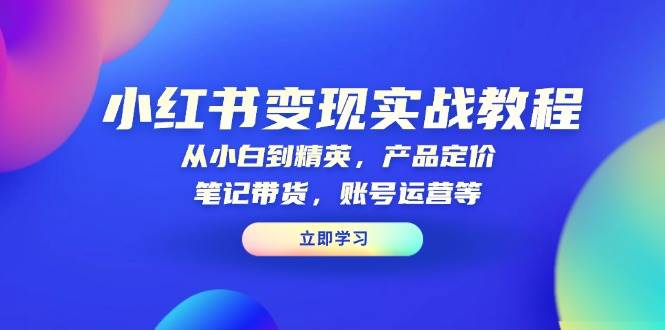 （13923期）小红书变现实战教程：从小白到精英，产品定价，笔记带货，账号运营等好创网-专注分享网络创业落地实操课程 – 全网首发_高质量项目输出好创网